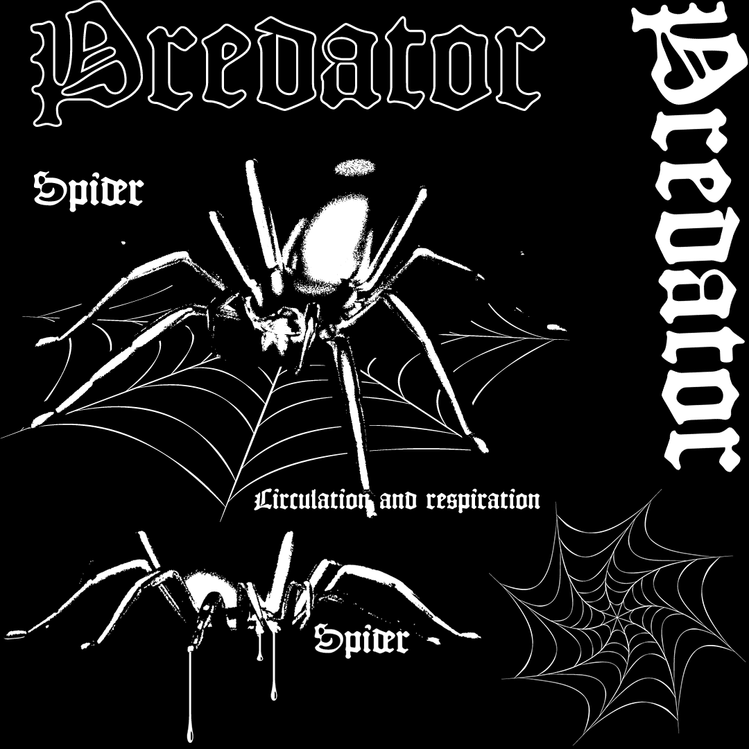Predator Spider