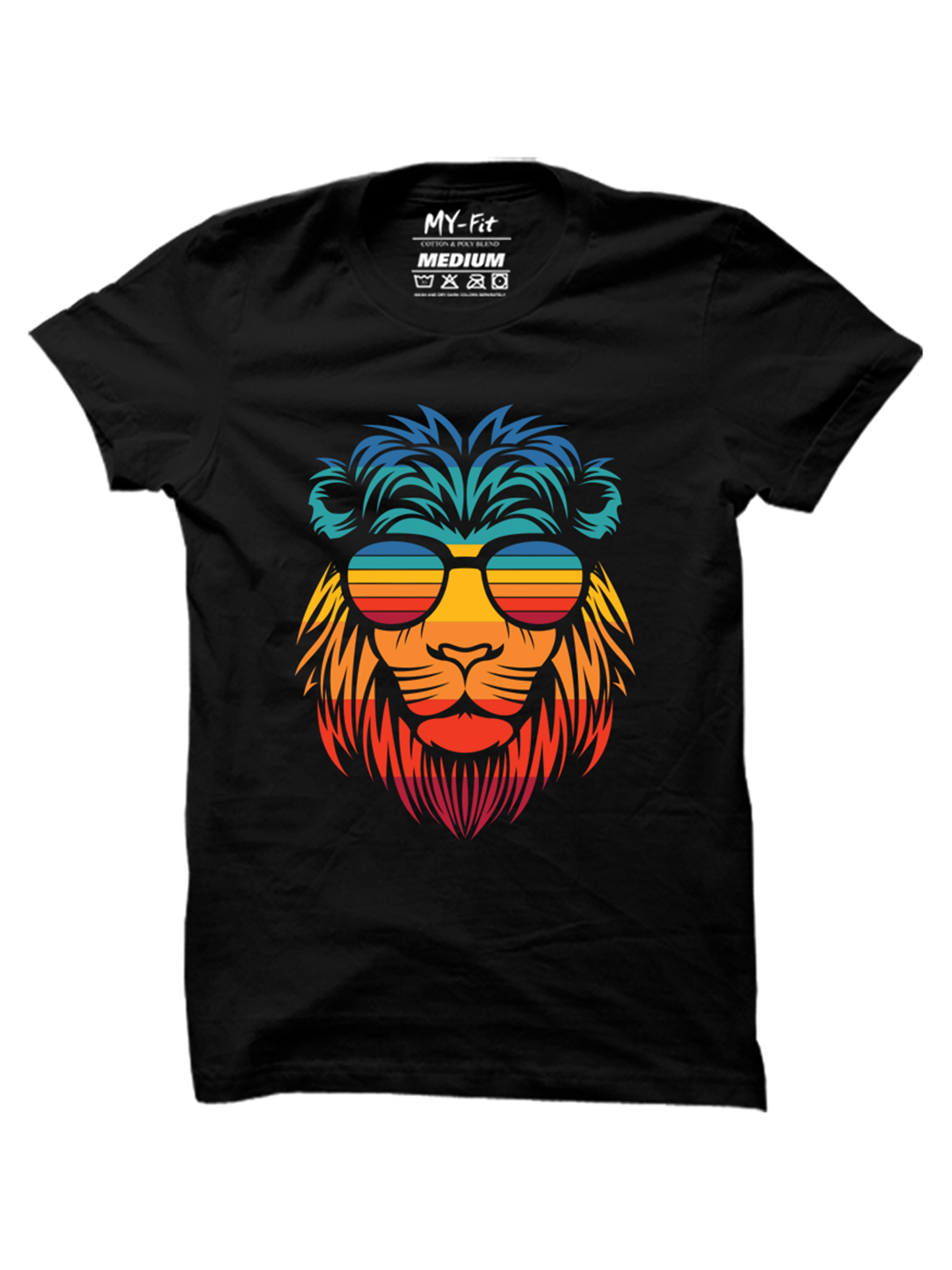 Colorful Lion - Sixth Degree Clothing